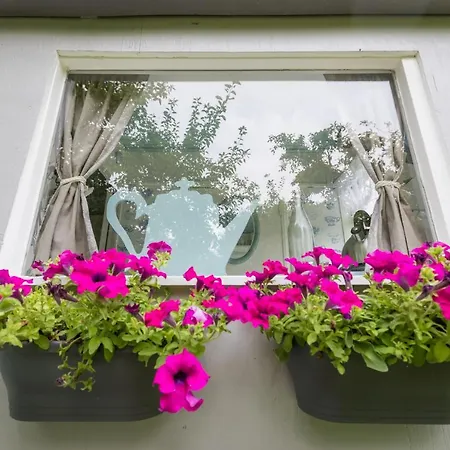 Gardenhouse On Wheels * Amszterdam