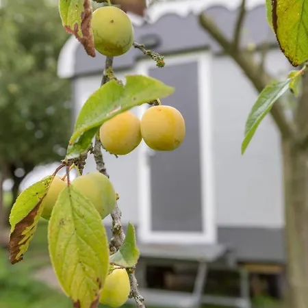 Panzió Gardenhouse On Wheels Amszterdam